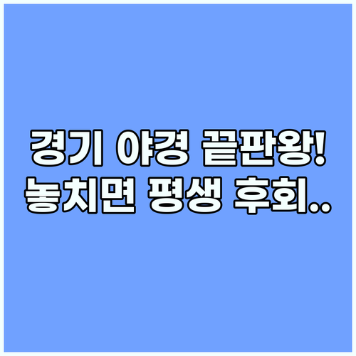 경기도 겨울 야경 낭만 가득한 서울 근교 불빛 축제 비교 분석
