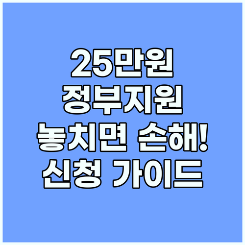 25만원 정부지원금: 놓치면 손해! 신청 핵심 가이드