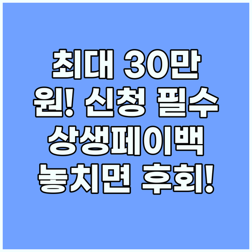 최대 30만원 환급! 2025 상생페이백 신청 방법과 사용 꿀팁