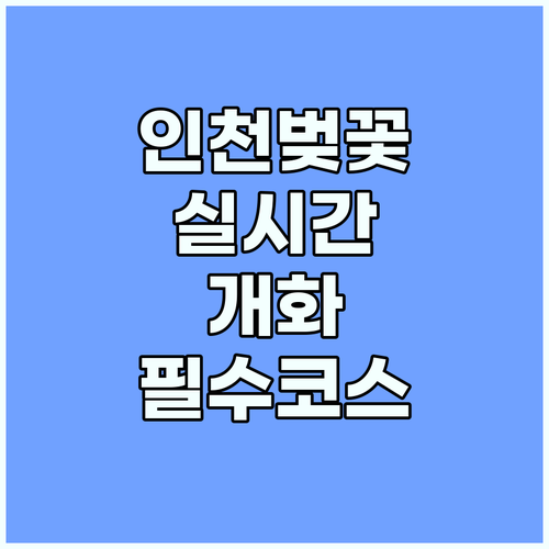 인천 벚꽃 실시간 개화 상황과 명소별 방문 최적 시간대