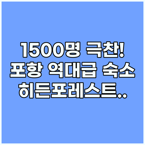 포항 슬로우오션 히든포레스트 실제 투숙객 1500명이 극찬한 포인트