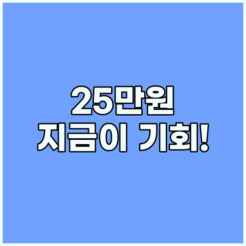 25만원 지원금, 지금이 기회! 나만을 위한 소비 전략