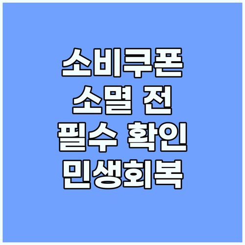민생회복 소비쿠폰: 소멸 전 꼭 확인해야 할 사항