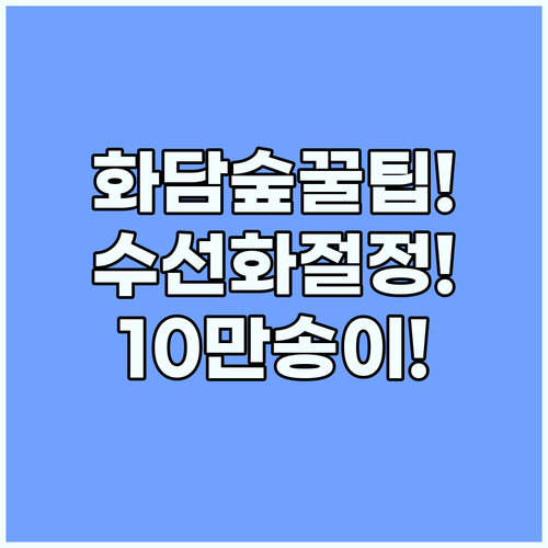 화담숲 벚꽃 터널 10만 송이 수선화 절정기 방문 팁