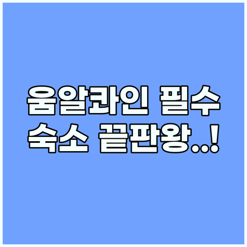 움알콰인 여행 준비물 나에게 딱 맞는 해안가 숙소 전격 비교