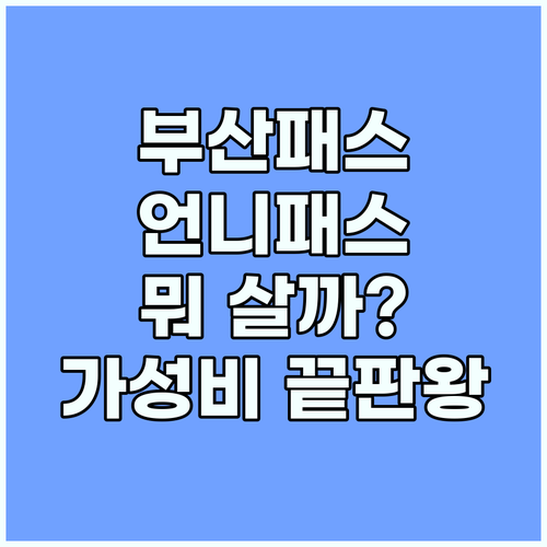 부산패스 vs 부산언니패스 부산여행 가성비 선택 가이드